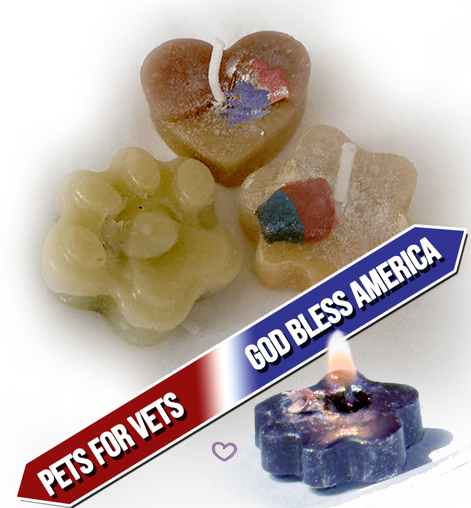 CANDLES FOR YOUR CAUSE